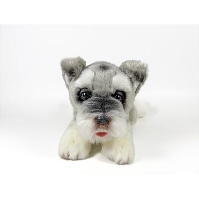 DQB DeQUBE FUNDACIÓN BOCALAN Knuffel Schnauzer liggend 25 cm + 0 maanden (DeQube 939D00288) DQB DeQUBE FUNDACIÓN BOCALAN Knuffel Schnauzer liggend 25 cm + 0 maanden (DeQube 939D00288)