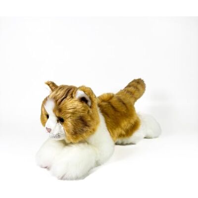 DQB DeQUBE FUNDACIÓN BOCALAN pluche kat bruin en wit verlengd 25 cm + 0 maanden (DeQube 939D00299) DQB DeQUBE FUNDACIÓN BOCALAN pluche kat bruin en wit verlengd 25 cm + 0 maanden (DeQube 939D00299)