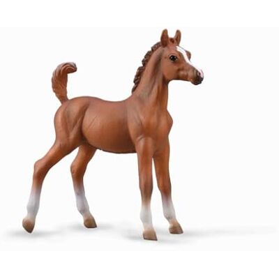 Collecta Figuur Paard (M): Bruin Arabisch veulen Collecta Figuur Paard (M): Bruin Arabisch veulen