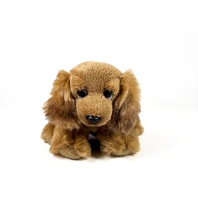DQB DeQUBE FUNDACIÓN BOCALAN pluche dier Cocker Spaniel zittend 12 cm + 0 maanden (DeQube 939D00261) DQB DeQUBE FUNDACIÓN BOCALAN pluche dier Cocker Spaniel zittend 12 cm + 0 maanden (DeQube 939D00261)