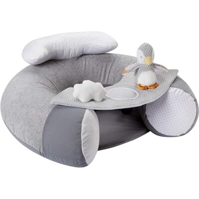 Nuby Penguin Sit-Me-Up Opblaasbare vloerstoel om te zitten en te spelen, afneembaar dienblad, machinewasbaar, geschikt vanaf 6 maanden (grijs) Machinewasbaar babyzitje met interactieve knuffels, ontwikkelt fijne motoriek voor zacht ontwaken Nuby Penguin Sit-Me-Up Opblaasbare vloerstoel om te zitten en te spelen, afneembaar dienblad, machinewasbaar, geschikt vanaf 6 maanden (grijs) Machinewasbaar babyzitje met interactieve knuffels, ontwikkelt fijne motoriek voor zacht ontwaken