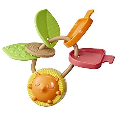 Playskool Mijn eerste sleutels, sensorisch speelgoed met structuren en geluiden voor baby's vanaf 3 maanden (Amazon Exclusive) Playskool Mijn eerste sleutels, sensorisch speelgoed met structuren en geluiden voor baby's vanaf 3 maanden (Amazon Exclusive)