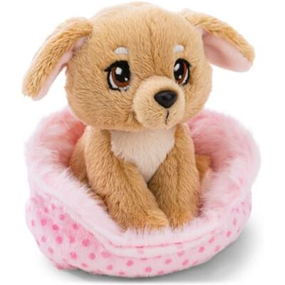 NICI Pluche hond in mand, 12 cm 63323 Zachte metgezel om te knuffelen, spelen en te verzamelen, geluksbrenger, leuk cadeau voor kinderen en volwassenen NICI Pluche hond in mand, 12 cm 63323 Zachte metgezel om te knuffelen, spelen en te verzamelen, geluksbrenger, leuk cadeau voor kinderen en volwassenen