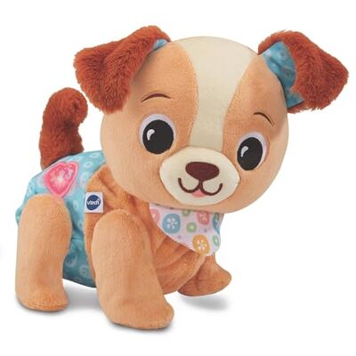 VTech Toutou 1,2,3 Suis-Moi Interactief knuffeldier, hond die loopt en blaft Sensorisch babyspeelgoed Muziekspeelgoed Cadeau voor baby's vanaf 9 maanden Inhoud in het Frans VTech Toutou 1,2,3 Suis-Moi Interactief knuffeldier, hond die loopt en blaft Sensorisch babyspeelgoed Muziekspeelgoed Cadeau voor baby's vanaf 9 maanden Inhoud in het Frans