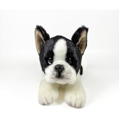 DQB DeQUBE FUNDACIÓN BOCALAN Knuffel Boston Terrier liggend 25 cm + 0 maanden (DeQube 939D00292) DQB DeQUBE FUNDACIÓN BOCALAN Knuffel Boston Terrier liggend 25 cm + 0 maanden (DeQube 939D00292)