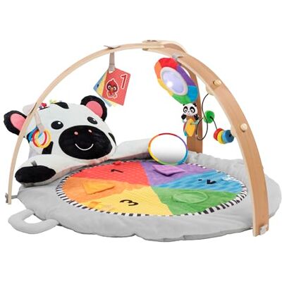 Baby Einstein Zen's Activity Milestones Sportspeelgoed van pluche met houten stang, voor baby's en peuters, 0-12 maanden, machinewasbaar Baby Einstein Zen's Activity Milestones Sportspeelgoed van pluche met houten stang, voor baby's en peuters, 0-12 maanden, machinewasbaar