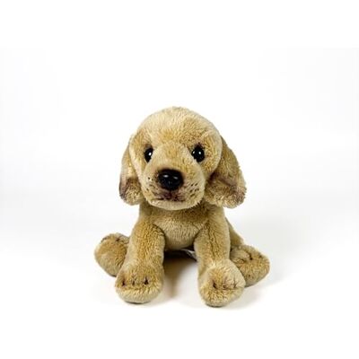DQB DeQUBE FUNDACIÓN BOCALAN Pluche dier Labrador Kaneel zittend 12 cm + 0 maanden (DeQube 939D00252) DQB DeQUBE FUNDACIÓN BOCALAN Pluche dier Labrador Kaneel zittend 12 cm + 0 maanden (DeQube 939D00252)