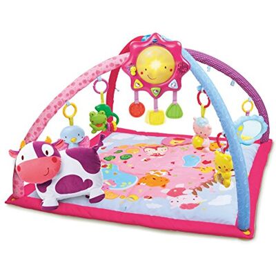 VTech Lumi Pink P'tits Copains tapijt, muzikaal en schaalbaar speelkleed, activiteiten- en ontwikkelingsspeelgoed, rammelaars, pluche koe, cadeau voor geboorte baby inhoud in het Frans VTech Lumi Pink P'tits Copains tapijt, muzikaal en schaalbaar speelkleed, activiteiten- en ontwikkelingsspeelgoed, rammelaars, pluche koe, cadeau voor geboorte baby inhoud in het Frans
