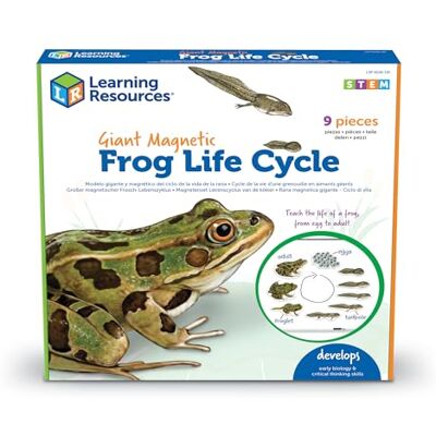 Learning Resources Levenscyclus van gigantische magnetische kikker, vroege wetenschappelijke activiteit, klasmiddelen, sleutelfase 1 en 2, inclusief activiteitengids Learning Resources Levenscyclus van gigantische magnetische kikker, vroege wetenschappelijke activiteit, klasmiddelen, sleutelfase 1 en 2, inclusief activiteitengids