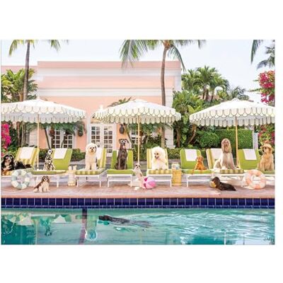 Galison Gray Malin Palm Beach 1000 stukjes Book Box puzzel Galison Gray Malin Palm Beach 1000 stukjes Book Box puzzel