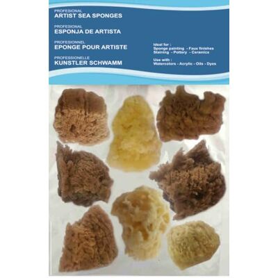 pasiphae natural skin care & sea sponges Natuurlijke zeesponzen voor kunstenaarsschilderijen 8 stuks, maten 2-8 cm, voor kunst en handwerk, schilderen, vrije tijd, effecten, keramiek, aardewerk, decoratie, spons pasiphae natural skin care & sea sponges Natuurlijke zeesponzen voor kunstenaarsschilderijen 8 stuks, maten 2-8 cm, voor kunst en handwerk, schilderen, vrije tijd, effecten, keramiek, aardewerk, decoratie, spons