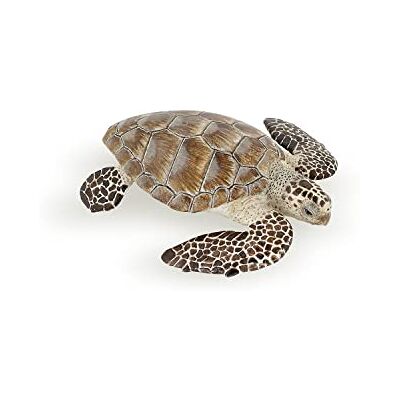Papo – figuren om te verzamelen – zeeschildpad – zeedieren – voor meisjes en jongens – vanaf 3 jaar Een bedreigde diersoort om te beschermen Handbeschilderd Een mooi stuk om te tentoonstellen onder beschermde dieren Papo – figuren om te verzamelen – zeeschildpad – zeedieren – voor meisjes en jongens – vanaf 3 jaar Een bedreigde diersoort om te beschermen Handbeschilderd Een mooi stuk om te tentoonstellen onder beschermde dieren