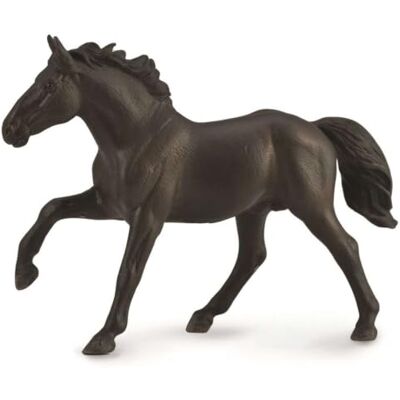 Collecta Ogier Nonius Collecta Ogier Nonius