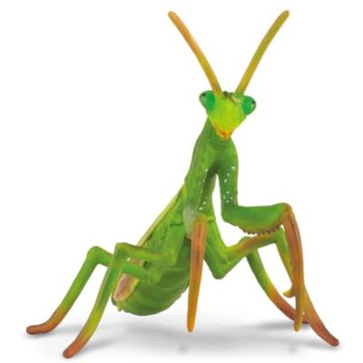 Collecta Praying Mantis Collecta Praying Mantis