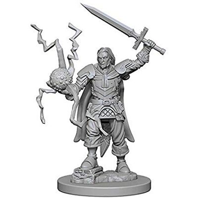 WizKids Pathfinder: Deep Cuts Unpainted Miniatures: Human Mannelijke Cleric WizKids Pathfinder: Deep Cuts Unpainted Miniatures: Human Mannelijke Cleric