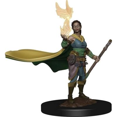 WizKids D&D Icons of The Realms Premium figuren: Elf Vrouwelijke Druid WizKids D&D Icons of The Realms Premium figuren: Elf Vrouwelijke Druid