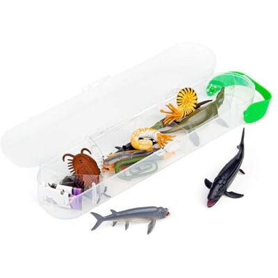 Collecta Mini prehistorische zeedieren Collecta Mini prehistorische zeedieren