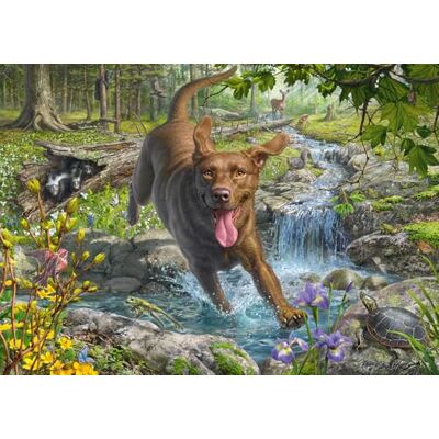 SCHMIDT Spiele 58559 Mark Frederickson Hondenliefde, lentewandeling met Labrador Retriever, 1000 stukjes puzzel, meerkleurig SCHMIDT Spiele 58559 Mark Frederickson Hondenliefde, lentewandeling met Labrador Retriever, 1000 stukjes puzzel, meerkleurig