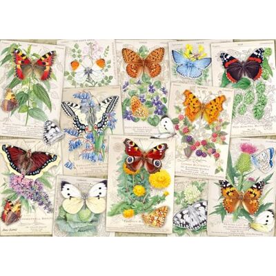 Rio Butterfly Splendor Puzzel met 1000 stukjes voor volwassenen, unieke en perfect passende stukken, grappige en levendige afbeeldingen, exclusief Amazon Rio Butterfly Splendor Puzzel met 1000 stukjes voor volwassenen, unieke en perfect passende stukken, grappige en levendige afbeeldingen, exclusief Amazon