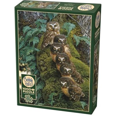 Cobble Hill Puzzel met 1000 stukjes stamboom incl. monsterposter Cobble Hill Puzzel met 1000 stukjes stamboom incl. monsterposter
