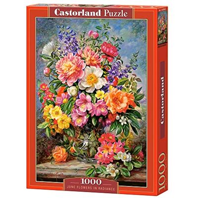 Castorland 1000 stukjes Jigsaw puzzel, June Bloemen in Radiance, Bloem en Planten Puzzel, Schilderen Puzzel, Volwassen Puzzels, C-103904-2 Castorland 1000 stukjes Jigsaw puzzel, June Bloemen in Radiance, Bloem en Planten Puzzel, Schilderen Puzzel, Volwassen Puzzels, C-103904-2