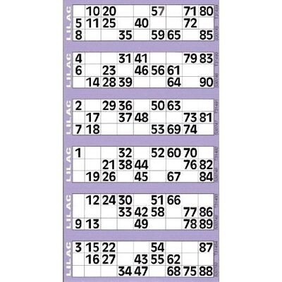 Disney Bingosupermarket Set van 6 reuzenbingokaarten en 600 stuks Disney Bingosupermarket Set van 6 reuzenbingokaarten en 600 stuks