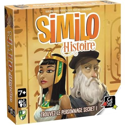 Gigamic SIMILO Geschiedenis, HSHI Gigamic SIMILO Geschiedenis, HSHI
