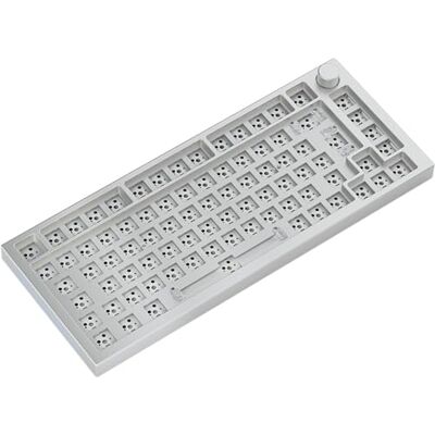 GLORIOUS Gaming GMMK PRO 75% Barebones (alleen frame), modulair mechanisch gamingtoetsenbord, TKL-formaat (75%), 1,5 kg frame, RGB, aanpasbaar, internationale lay-out/ISO wit GLORIOUS Gaming GMMK PRO 75% Barebones (alleen frame), modulair mechanisch gamingtoetsenbord, TKL-formaat (75%), 1,5 kg frame, RGB, aanpasbaar, internationale lay-out/ISO wit