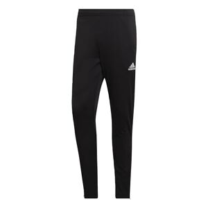 Adidas , Ent22 Tr PNT, joggingbroek, zwart, M, man
