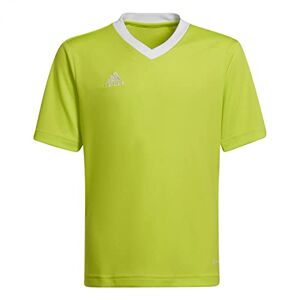 Adidas Entrada 22 T-shirt met korte mouwen