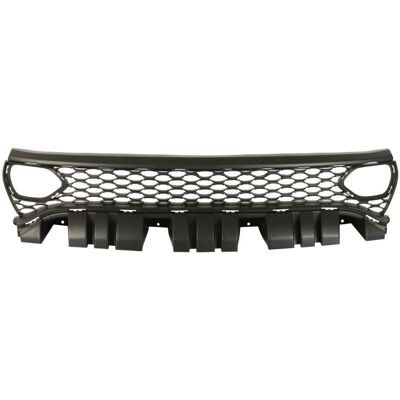Radiatorrooster Blic 6502-07-0932990sp Radiatorrooster Blic 6502-07-0932990sp