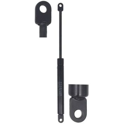 Gasveer Stabilus 082503 Gasveer Stabilus 082503