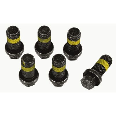 Schroevenset Vliegwiel Sachs 1874 000 069 Schroevenset Vliegwiel Sachs 1874 000 069
