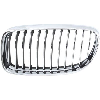 Radiatorrooster Blic 6502-07-0062991pq Links Radiatorrooster Blic 6502-07-0062991pq Links