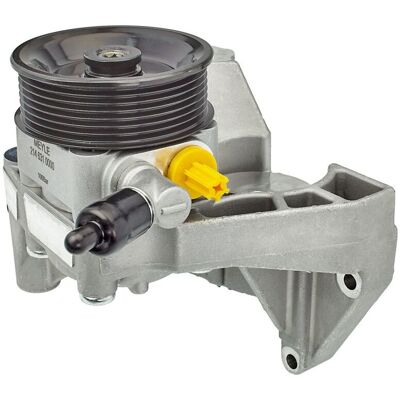 Servo Pomp Meyle 214 631 0000 Servo Pomp Meyle 214 631 0000