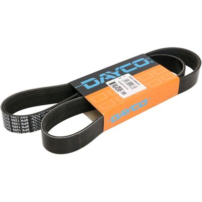 V-Riem Dayco 8pk1289hd V-Riem Dayco 8pk1289hd