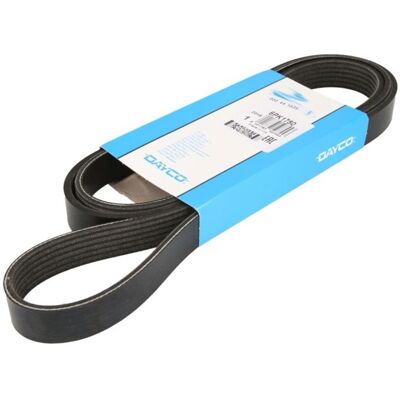 V-Riem Dayco 6pk1750 V-Riem Dayco 6pk1750