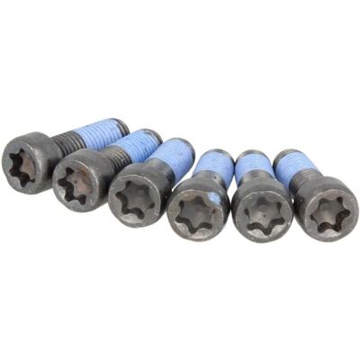 Schaeffler Luk Schroevenset Vliegwiel Luk 411 0169 10 Schaeffler Luk Schroevenset Vliegwiel Luk 411 0169 10