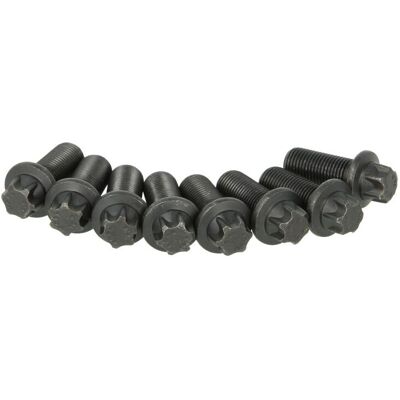 Schroevenset Vliegwiel Sachs 1874 000 030 Schroevenset Vliegwiel Sachs 1874 000 030