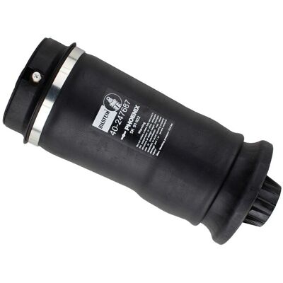 Luchtvering, Chassis Bilstein - B3 Serie Vervanging (Air) Bilstein 40-247687 Luchtvering, Chassis Bilstein - B3 Serie Vervanging (Air) Bilstein 40-247687