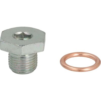 Schroef Plug Oliepan Elring 877.950 Schroef Plug Oliepan Elring 877.950