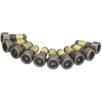 Schaeffler Luk Schroevenset Vliegwiel Luk 411 0161 10 Schaeffler Luk Schroevenset Vliegwiel Luk 411 0161 10