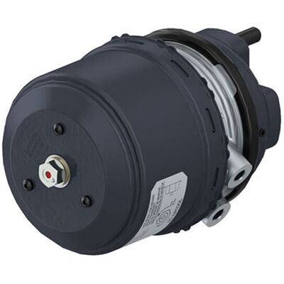 Combi Remcilinder Wabco 925 481 101 0 Combi Remcilinder Wabco 925 481 101 0