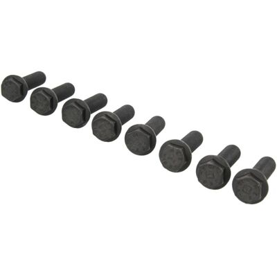 Schroevenset Vliegwiel Luk 411 0170 10 Schroevenset Vliegwiel Luk 411 0170 10
