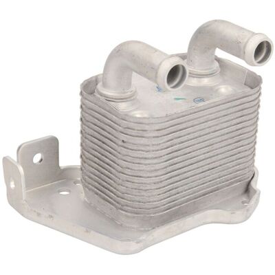 Olie Radiator, Motorolie Thermotec D4x006tt Olie Radiator, Motorolie Thermotec D4x006tt