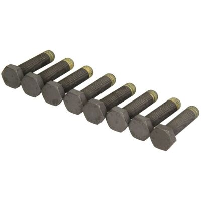 Schaeffler Luk Schroevenset Vliegwiel Luk 411 0026 10 Schaeffler Luk Schroevenset Vliegwiel Luk 411 0026 10