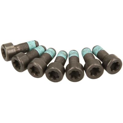 Schroevenset Vliegwiel Sachs 1874 000 054 Schroevenset Vliegwiel Sachs 1874 000 054