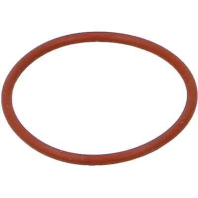 Afdichtring, Remschoen Dt Spare Parts 10.23170 Afdichtring, Remschoen Dt Spare Parts 10.23170