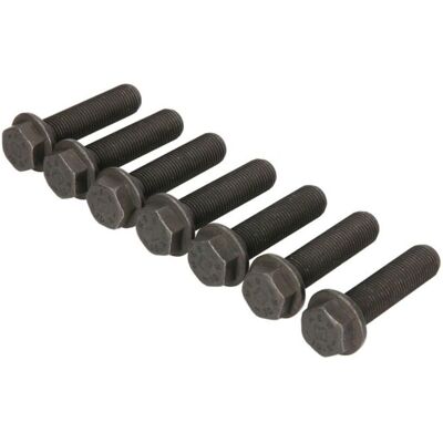 Schaeffler Luk Schroevenset Vliegwiel Luk 411 0170 11 Schaeffler Luk Schroevenset Vliegwiel Luk 411 0170 11