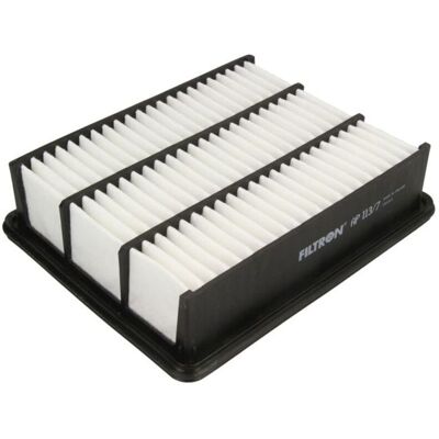 Luchtfilter Filtron Ap113/7 Luchtfilter Filtron Ap113/7